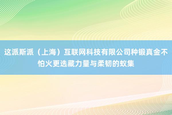 这派斯派(上海)互联网科技有限公司种锻真金不怕火更选藏力量与柔韧的蚁集