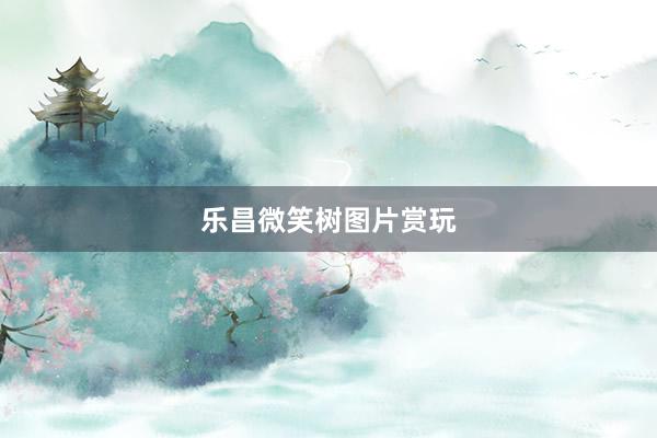 乐昌微笑树图片赏玩